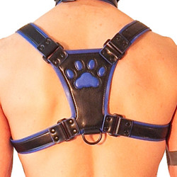 Brutus Harnais Puppy Harness Noir-Bleu